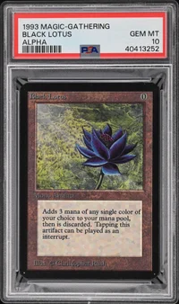 Black Lotus — PSA 10